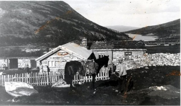 Bjørnhollia