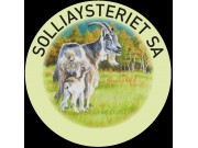 Selvbetjening på Solliaysteriet