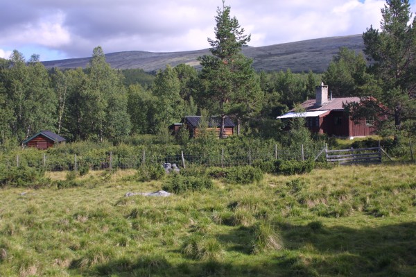 Sjølisetra Rønningssetra 2008  seterhus 074