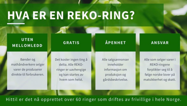 REKO forklaring