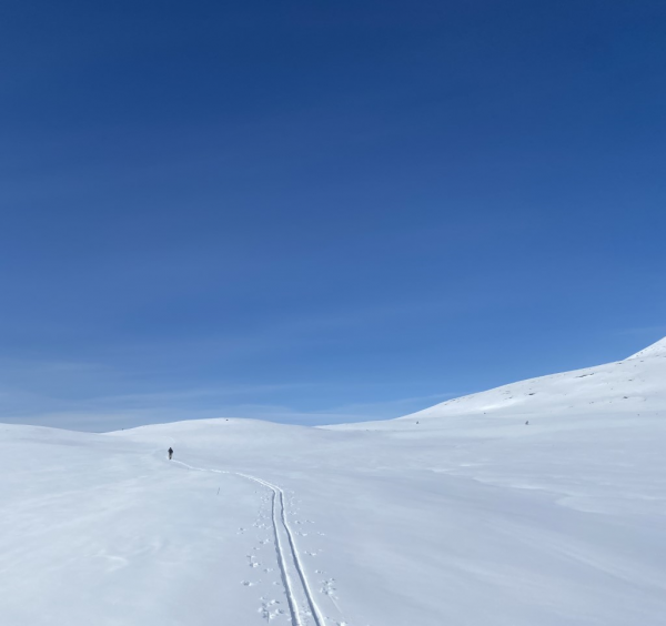 ski oksan