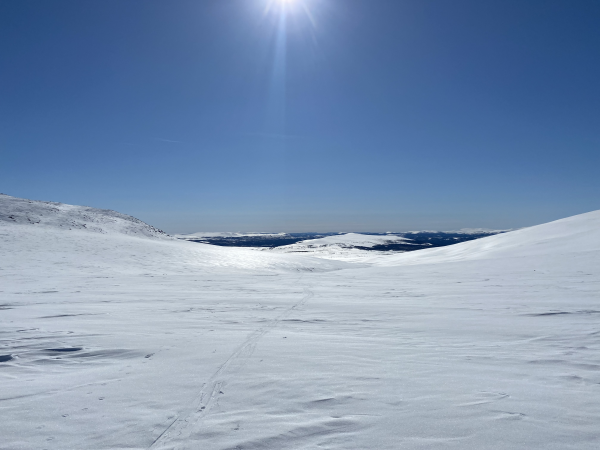 brudvik 1