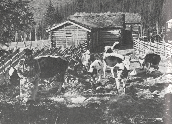 Helga Modalen Skardsetra
