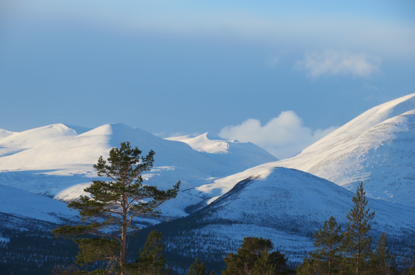 Rondane Anne Eline 