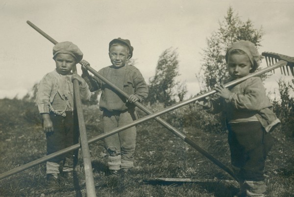 Slåttekarer Øverdalssetra  1915. Sverre, Per og Ha