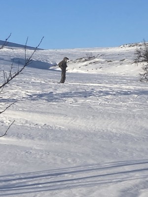 IMG-0912 (1)