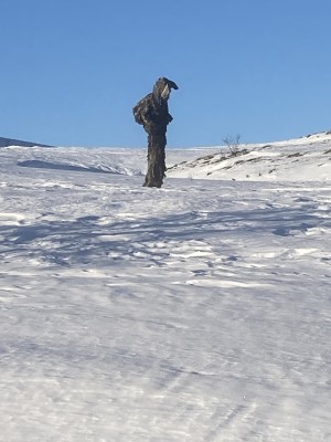 IMG-0914 (1)