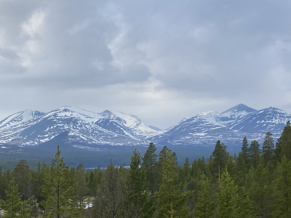 Rondane mai Berit Gomnæs