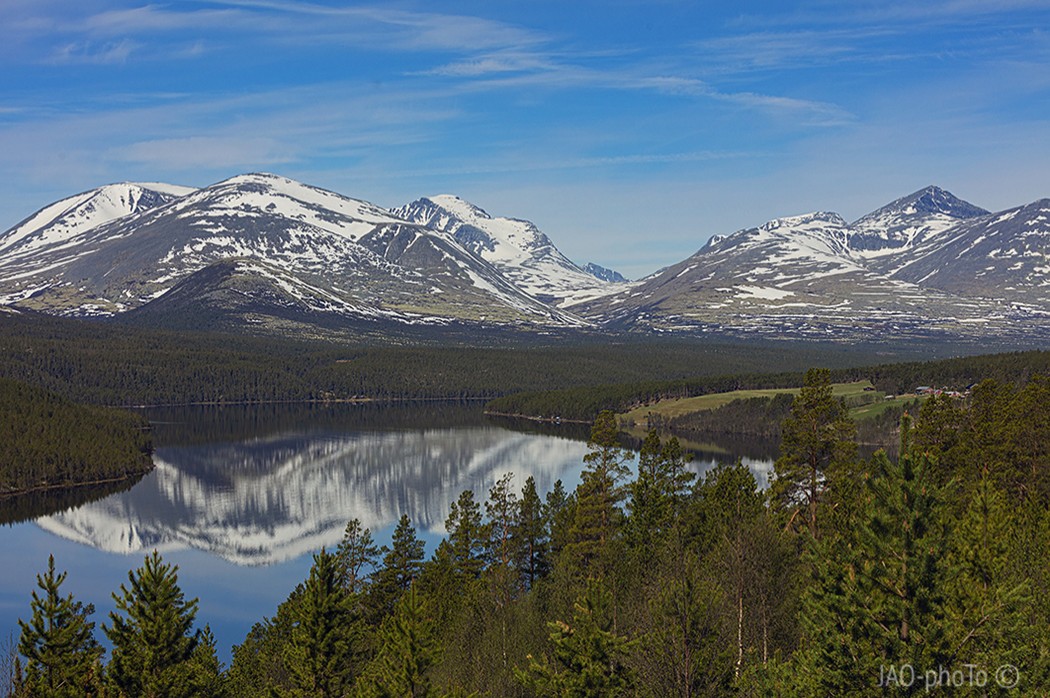 _JAO8667_B