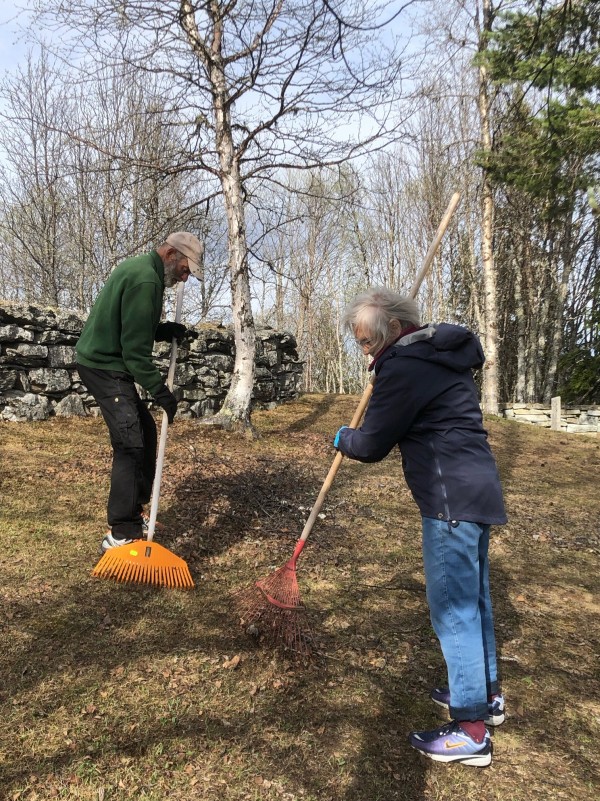 raking3