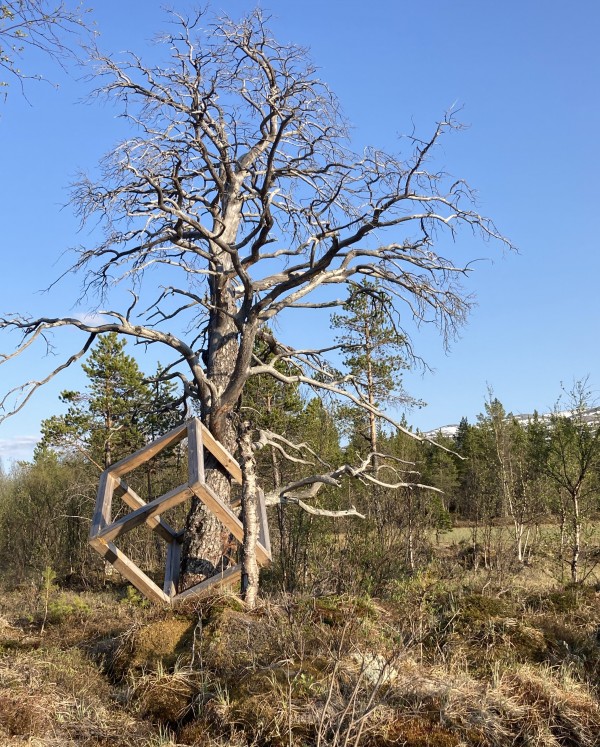Kube i Rondane Strømbu (1)