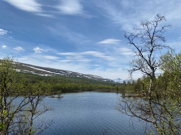 Voldalstjønn