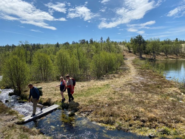 Voldalen demningen