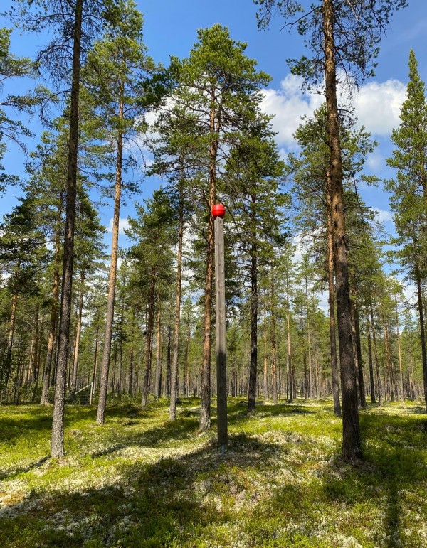 fyrstikk1
