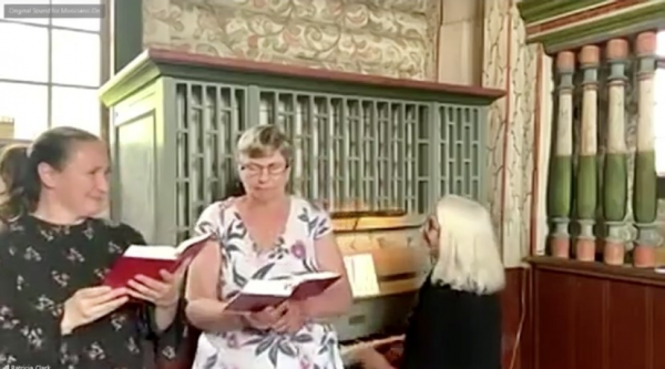 sara ellen og