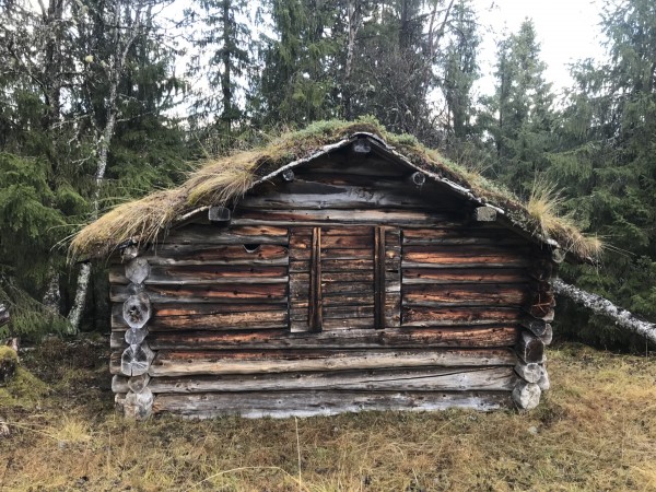 Bjønnslåa Helge Lien