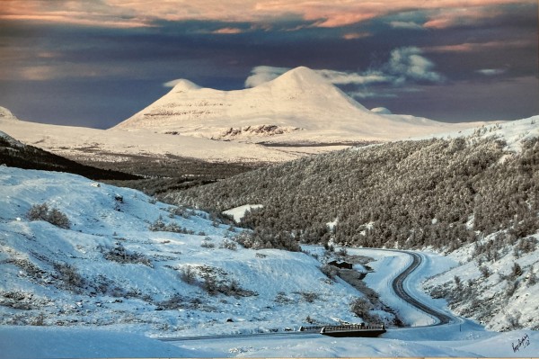 foto alvdalssølen1