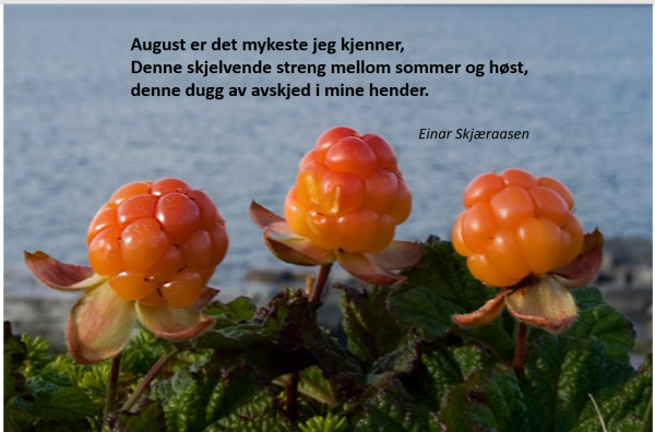 dikt om august ferdig