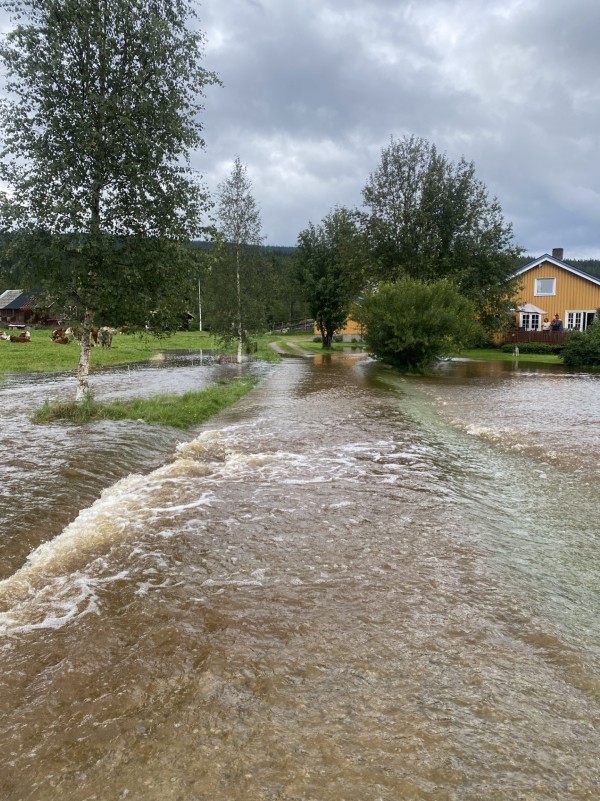 Sæter