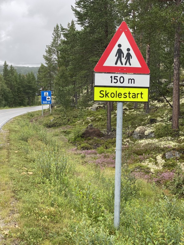 skolestart