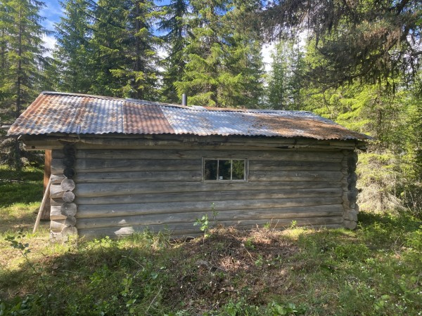 gamle midtlibua