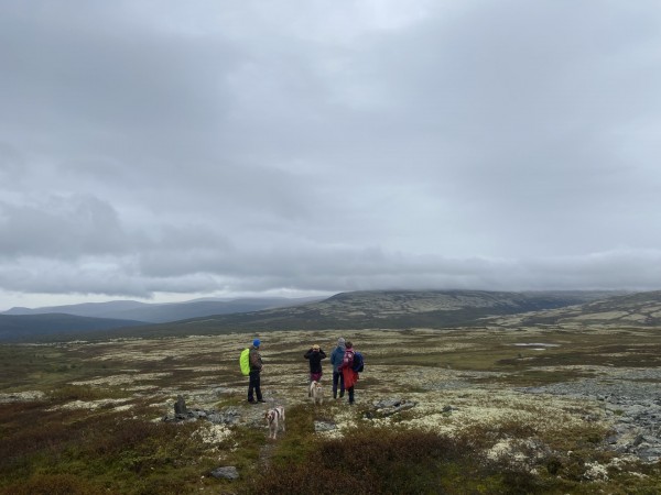 utsikt mot vuludalen