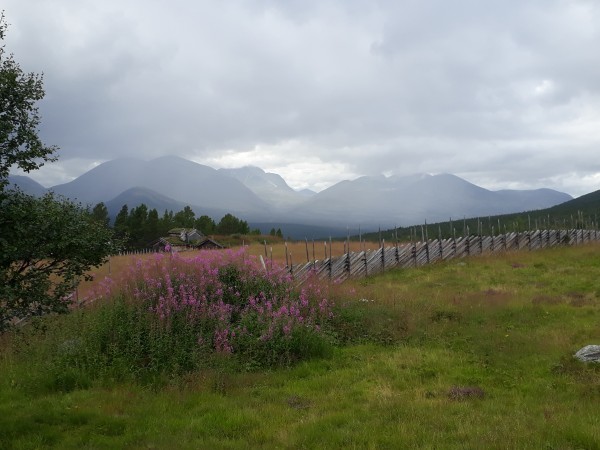 bilde rondane og geitrams