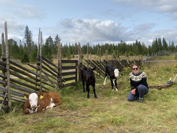 tuva og kalver