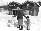 Bilde av Vassbæring-på-Amperhaugen Foto Kari Moen Øvergaard 1957
