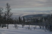 Bilde av 09_1108_Mot_Svartåsen_SHovind