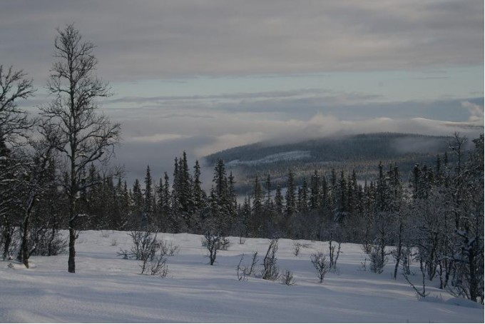 Bilde mot Svartåsen. Foto Sverre Hovind