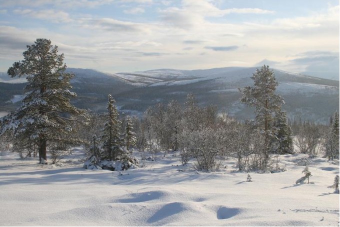 Bilde fra Sollifjellet mot Svuluhøgda. Foto Sverre Hovind