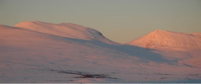 Bilde av tidlig vintermorgen i Gravskaret. Foto Jo Øvergaard