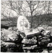 Bilde av kronerøysFoto Edvard K. Barth