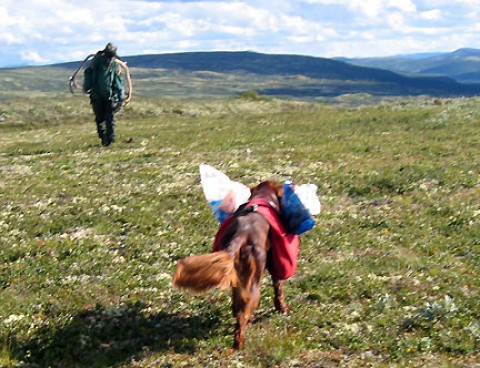 Foto Arne Nyaas