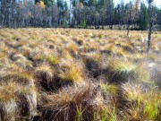 Naturarven kan brukes