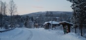 Bilde av Mogrenda. Foto Hans Sollid