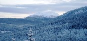 Bilde av Nørstkletten. Foto Hans Sollid