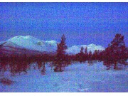 Nasjonalparkforvalter for Rondane