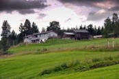 Bilde av Bakken foto Jo Øvergaard