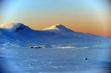 Bilde fra Venabygdsfjellet foto Jo Øvergaard