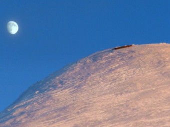 Bilde av ren på topptur foto Ted Johansen