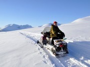 Trenger du skutertransport?