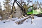 Bilde av skogsdrift ved butikken 007 foto Jo Øvergaard