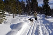 Bilde av Sissel og Mira foto Jo Ø