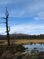 Bilde av Mot Høa foto Jo Øvergaard