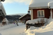 Bilde fra  inntunet Fram mot uthuset foto Jo Øvergaardi