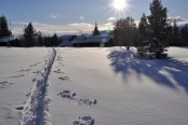 Bilde av skispor foto Jo Øvergaard