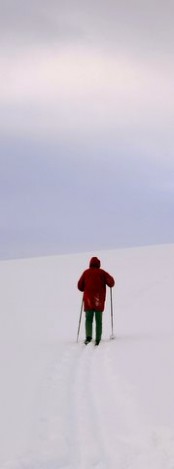 Bilde av skiløper i kvittlandskap foto Jo Øvergaard