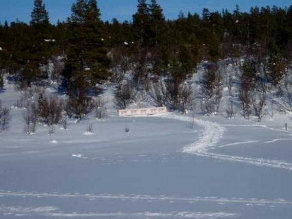 Bilde fra jaktskifelt - gaupeholdet. Footo Hans Sollid
